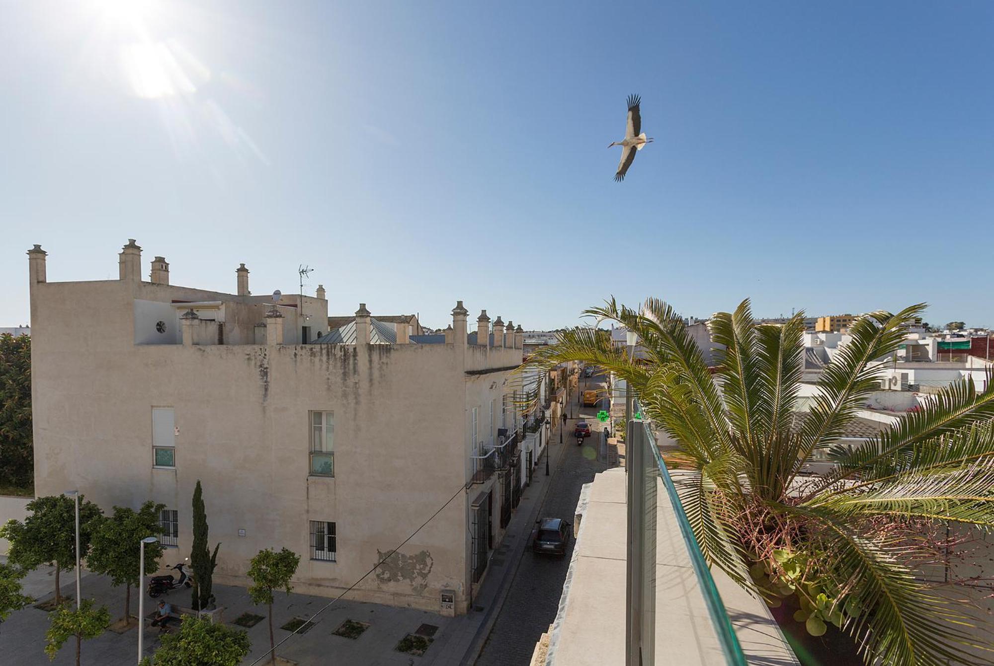 Azvalia - Casa San Juan Appartement El Puerto de Santa María Buitenkant foto
